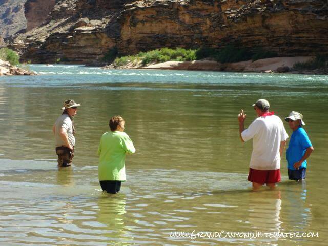 Cool down and hang out with other Grand Canyon Whitewater rafters in the Colorado River!