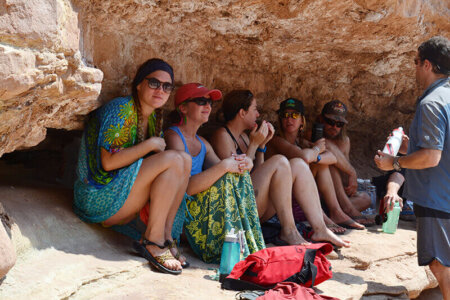 Hiding in the shade under a rock