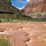 The Little Colorado River when flowing brown.
