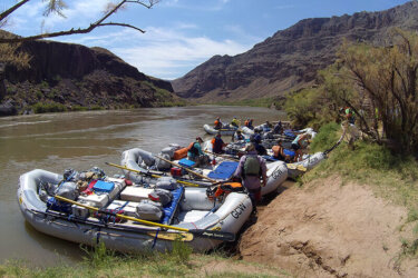 Oar boats in camp with steep bank